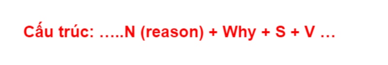Cách sử dụng đại từ Why trong công thức mệnh đề quan hệ